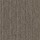 Philadelphia Commercial Carpet Tile: Mottled Sandalwood